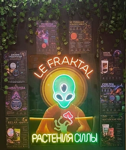 Три точки в сфере биохакинга и микродозинга 🌿 1