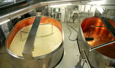 Производство твердого сыра с постоянным рынком сбыта 2