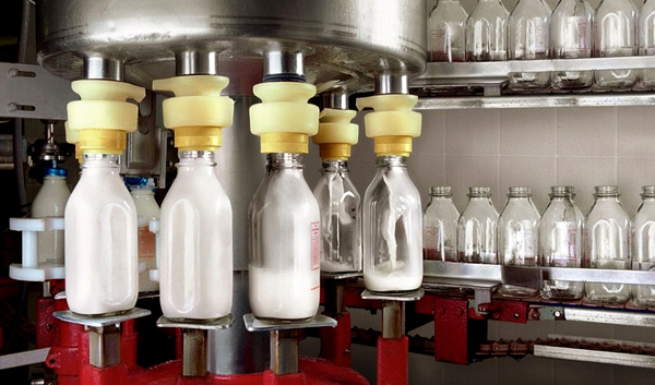 Производство молочной продукции с высокой прибылью 1