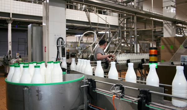 Производство молочной продукции с высокой прибылью 2