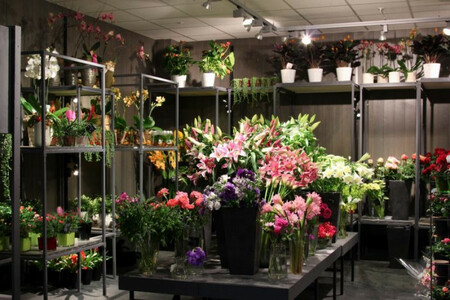 Цветочный магазин 21 год в 3-х мин. от метро 0