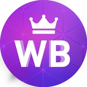 Магазин Клея на WB с Ч/П 550тсч в месяц 0