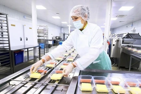 Пищевое производство. Выручка 175 000 000 в год 3