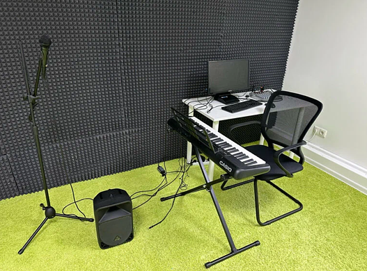 Школа вокала. Две школы вокала на юге Москвы