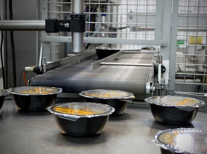 Пищевое производство готовой еды 0