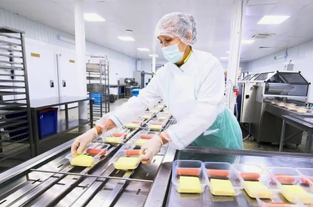 Пищевое производство готовой еды 2