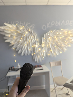 Школа вокала. Прибыль 228 000 руб\мес