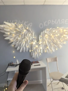 Школа вокала. Прибыль 228 000 руб\мес 0