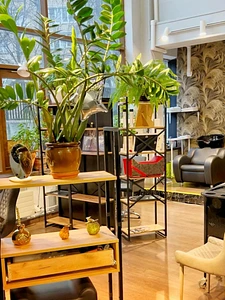 Фитнес студия с салоном красоты  1