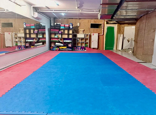 Фитнес студия с салоном красоты 