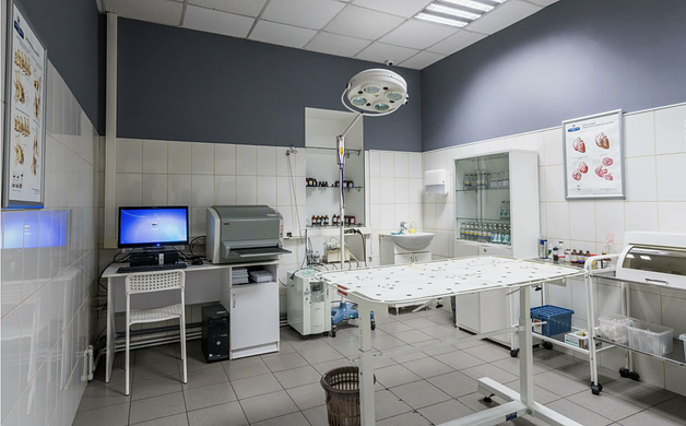 Ветеринарная клиника в Химках