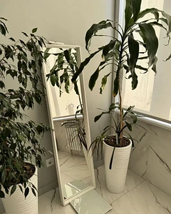 Массажный салон с гидромассажем в ЦАО 3